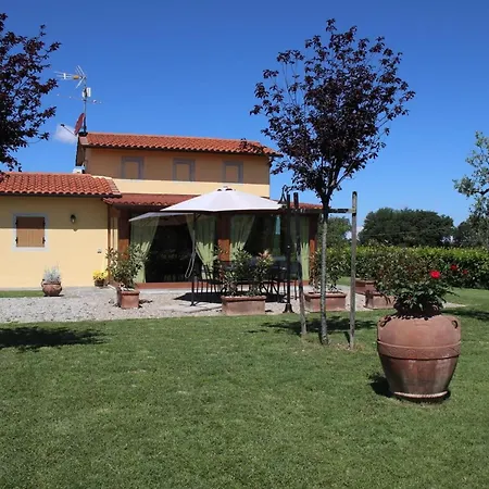 Mira * Cortona